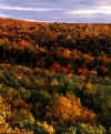 Brockway mountain autumn.JPG (96356 bytes)