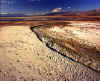 Death valley mud flats.JPG (105320 bytes)