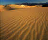 Death valley sand dunes.JPG (72937 bytes)