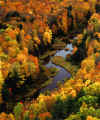 river of autumn.JPG (112164 bytes)